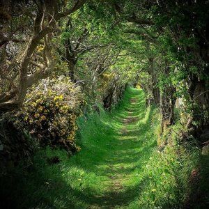 Happy St.Patrick's Day